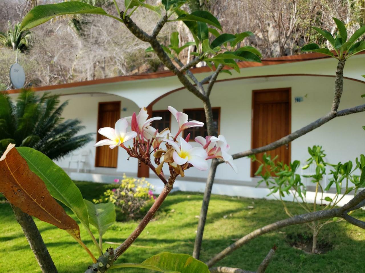 Hotel Y Club Campestre Altos Paraiso Puerto Escondido  Exteriör bild