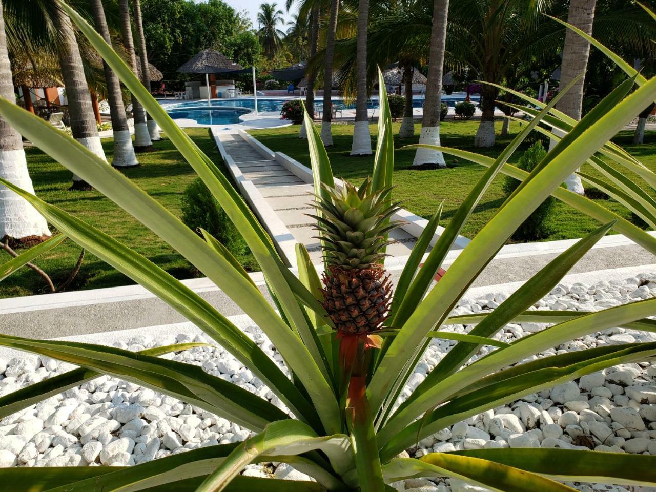 Hotel Y Club Campestre Altos Paraiso Puerto Escondido  Exteriör bild